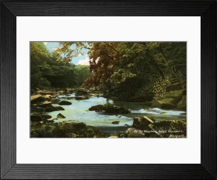 Framed Print : On the Wisbeck, Bothal Woods, Northumberland Framed Print : On the Wisbeck, Bothal Woods, Northumberland