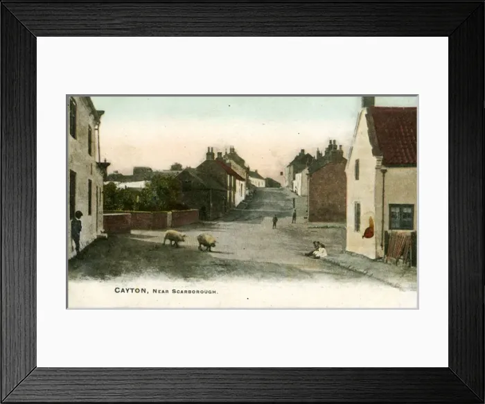 Framed Print : Street with Pigs, Cayton, Yorkshire Framed Print : Street with Pigs, Cayton, Yorkshire