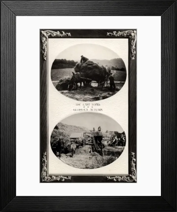 Framed Print : Haymaking, England. The Last Load - Glorious Autumn Date: 1900s Framed Print : Haymaking, England. The Last Load - Glorious Autumn Date: 1900s