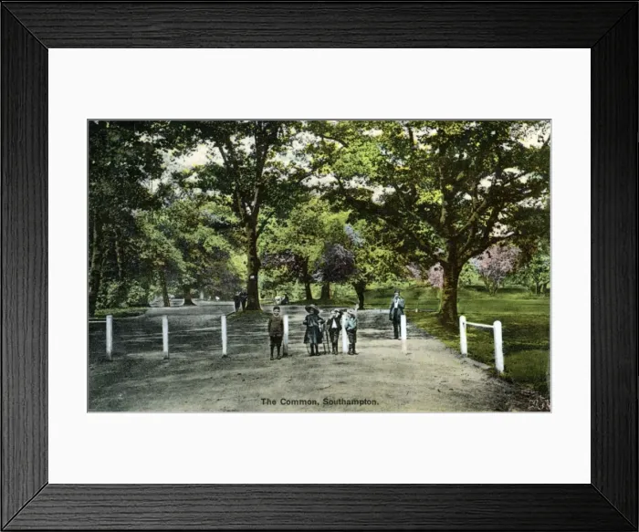 Framed Print : The Common, Southampton, Hampshire Framed Print : The Common, Southampton, Hampshire
