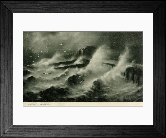 Framed Print : Storm and Herring Gulls, Brighton, Sussex Framed Print : Storm and Herring Gulls, Brighton, Sussex