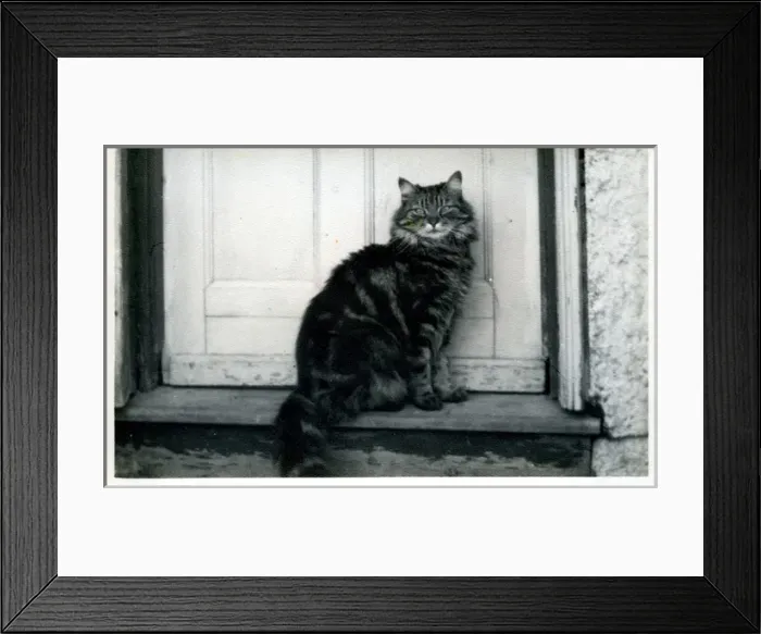 Framed Print : Halcyon Caravan Park, Hullbridge, Essex Framed Print : Halcyon Caravan Park, Hullbridge, Essex