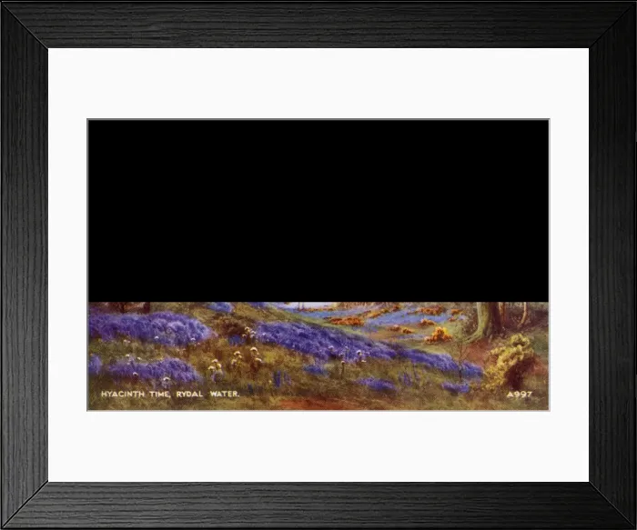 Framed Print : The Hyacinths, Rydal Water, Cumbria Framed Print : The Hyacinths, Rydal Water, Cumbria