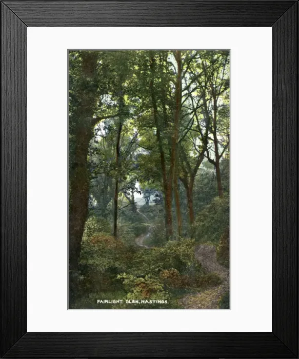 Framed Print : Fairlight Glen, Hastings, Sussex Framed Print : Fairlight Glen, Hastings, Sussex