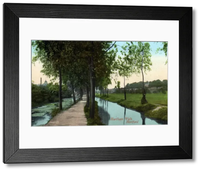 Framed Print : Hartham Walk, Hertford, Hertfordshire Framed Print : Hartham Walk, Hertford, Hertfordshire