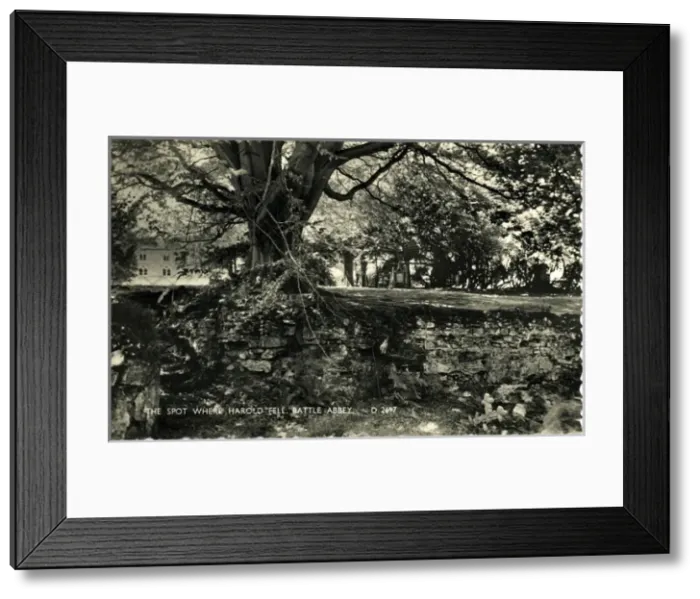 Framed Print : The Spot where King Harold Fell, Battle Abbey, Sussex Framed Print : The Spot where King Harold Fell, Battle Abbey, Sussex