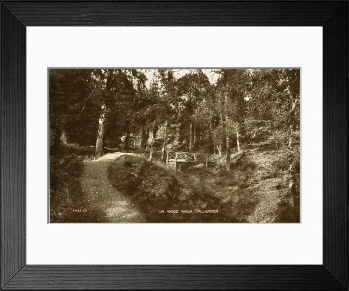 Framed Print : The Woods & Bridge, Callander, Stirlingshire Framed Print : The Woods & Bridge, Callander, Stirlingshire