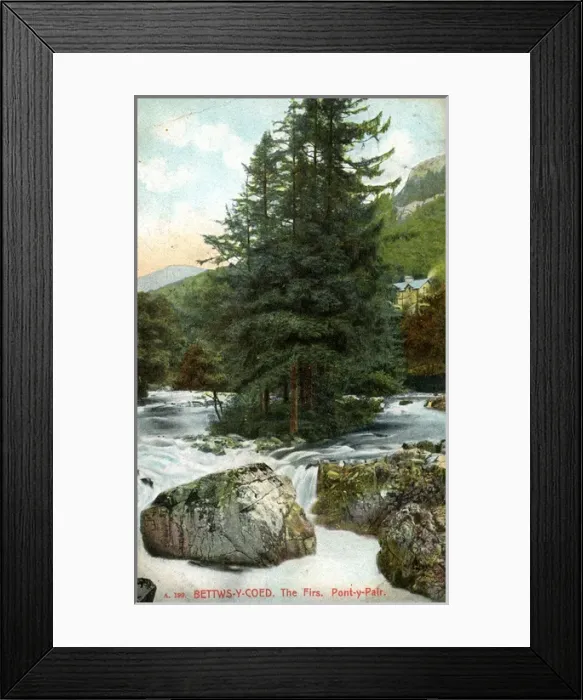 Framed Print : The Firs, Pont-y-Pair, Conwy Framed Print : The Firs, Pont-y-Pair, Conwy
