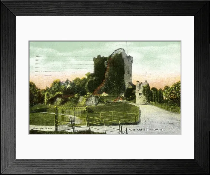 Framed Print : Ross Castle, Killarney, County Kerry Framed Print : Ross Castle, Killarney, County Kerry