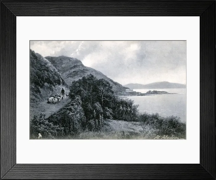 Framed Print : Sheep Herding, Aberdovey - Aberdyfi, Glamorgan Framed Print : Sheep Herding, Aberdovey - Aberdyfi, Glamorgan