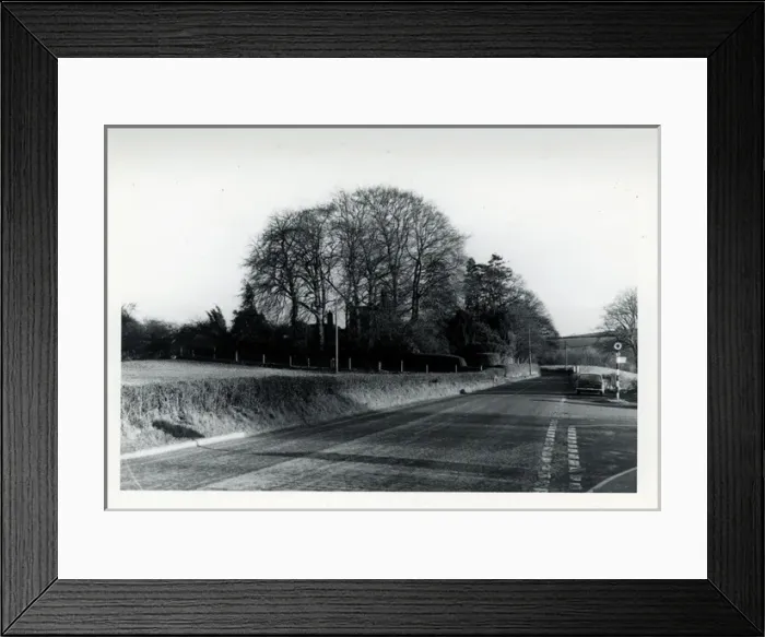 Framed Print : Austin Maxi Classic Car & Topiary Garden, York Area, Yorkshi Framed Print : Austin Maxi Classic Car & Topiary Garden, York Area, Yorkshi