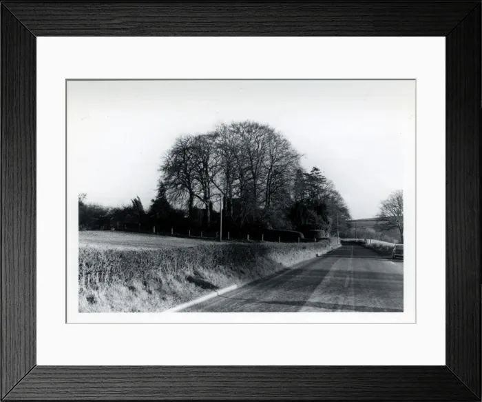 Framed Print : Road & Topiary Garden, York Area, Yorkshire Framed Print : Road & Topiary Garden, York Area, Yorkshire