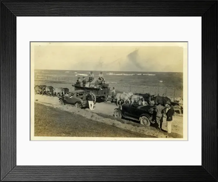 Framed Print : Vintage Cars: Model T Ford (L), Cattle & Cart, Chevrolet? (R Framed Print : Vintage Cars: Model T Ford (L), Cattle & Cart, Chevrolet? (R