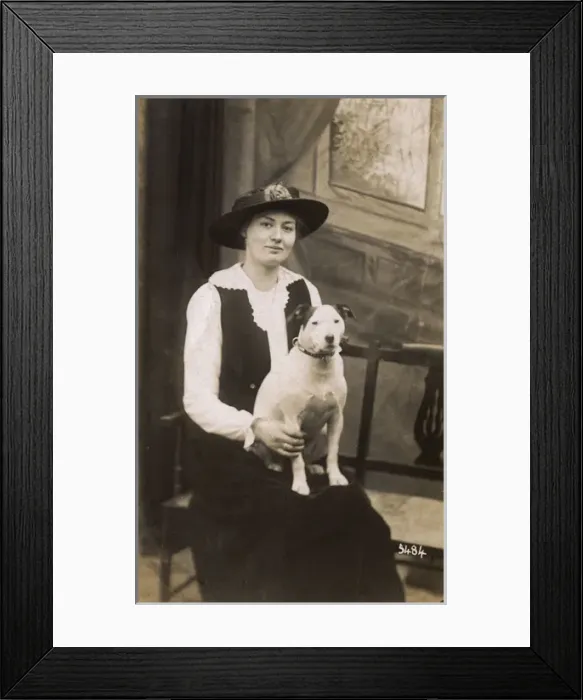 Framed Print : Studio portrait, woman with bull terrier