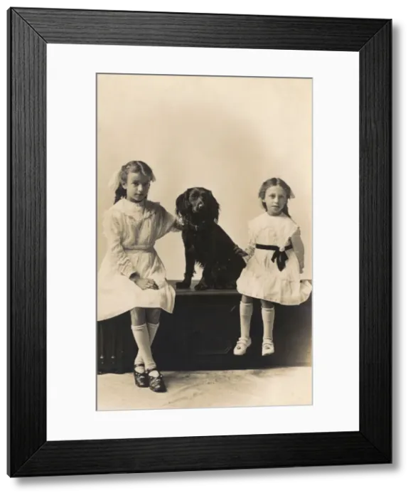 Framed Print : Studio portrait, two girls with spaniel Framed Print : Studio portrait, two girls with spaniel
