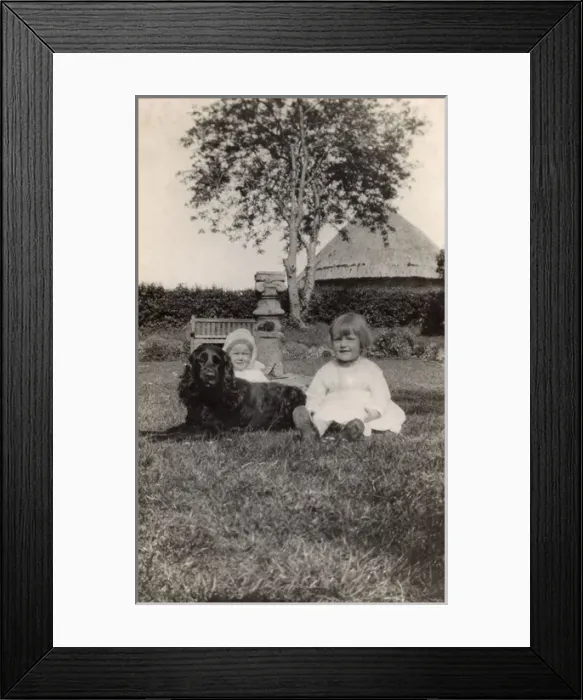Framed Print : Two young children with a spaniel dog in a garden Framed Print : Two young children with a spaniel dog in a garden
