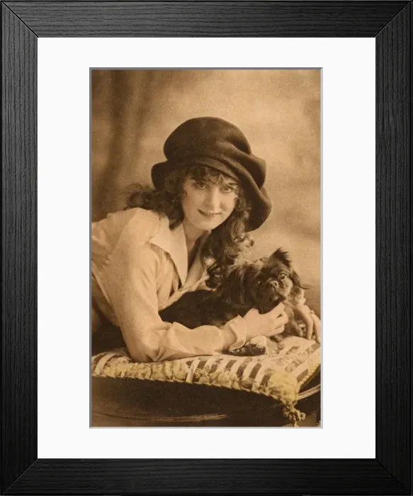 Framed Print : Studio portrait, young woman with Pekingese dog Framed Print : Studio portrait, young woman with Pekingese dog