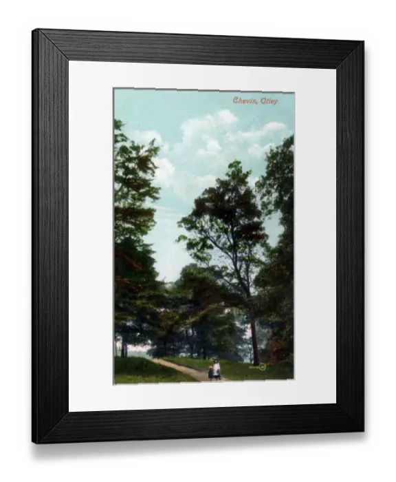 Framed Print : Chevin Forest Park, Otley, Yorkshire Framed Print : Chevin Forest Park, Otley, Yorkshire