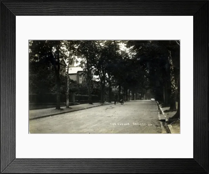 Framed Print : The Avenue, Shirley, Hampshire Framed Print : The Avenue, Shirley, Hampshire