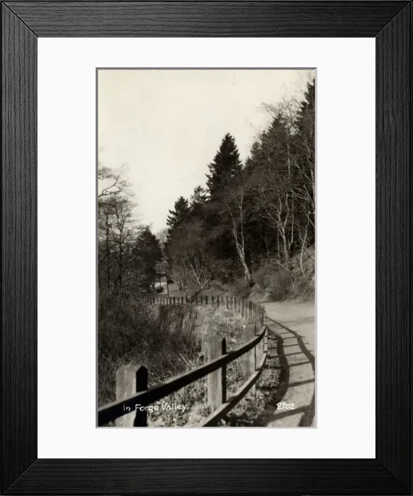 Framed Print : Woodland Walk, Forge Valley, Yorkshire Framed Print : Woodland Walk, Forge Valley, Yorkshire
