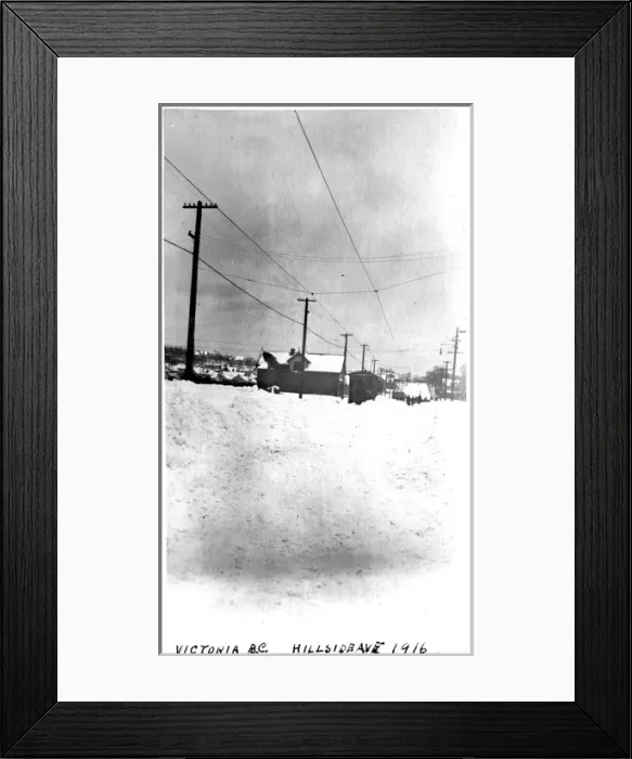 Framed Print : Hillside Avenue, Victoria, British Columbia Framed Print : Hillside Avenue, Victoria, British Columbia