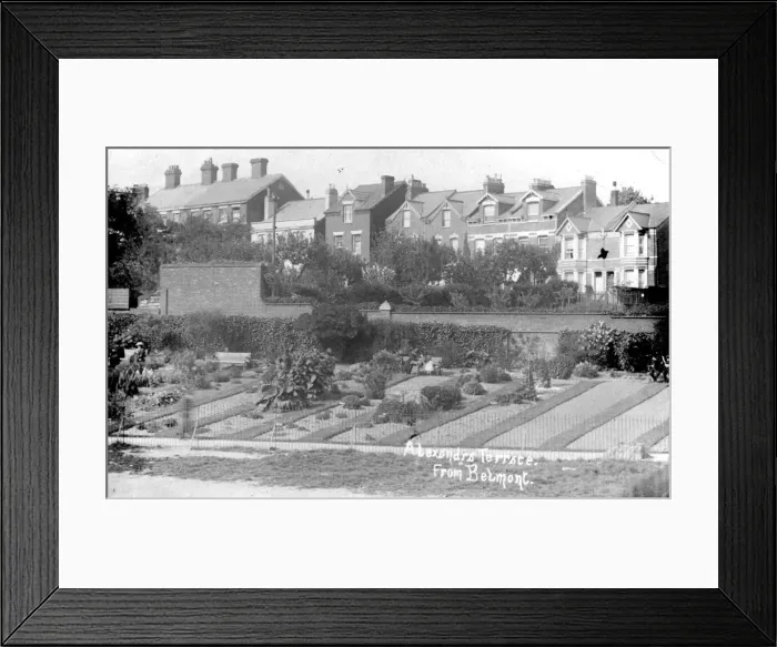 Framed Print : Alexanrda Terrace from Belmont, Exeter, Devon Framed Print : Alexanrda Terrace from Belmont, Exeter, Devon