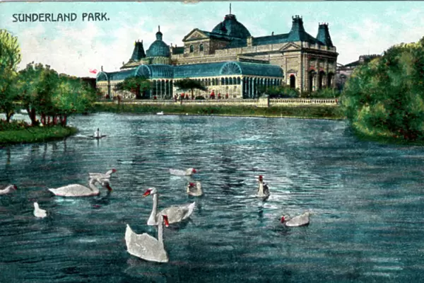 The Park, Sunderland, County Durham