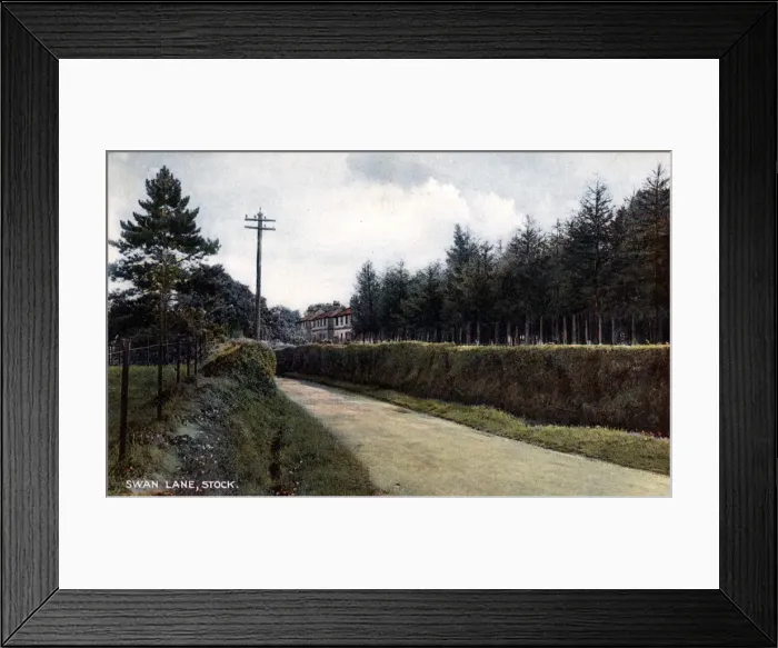 Framed Print : Swan Lane, Stock, Essex Framed Print : Swan Lane, Stock, Essex