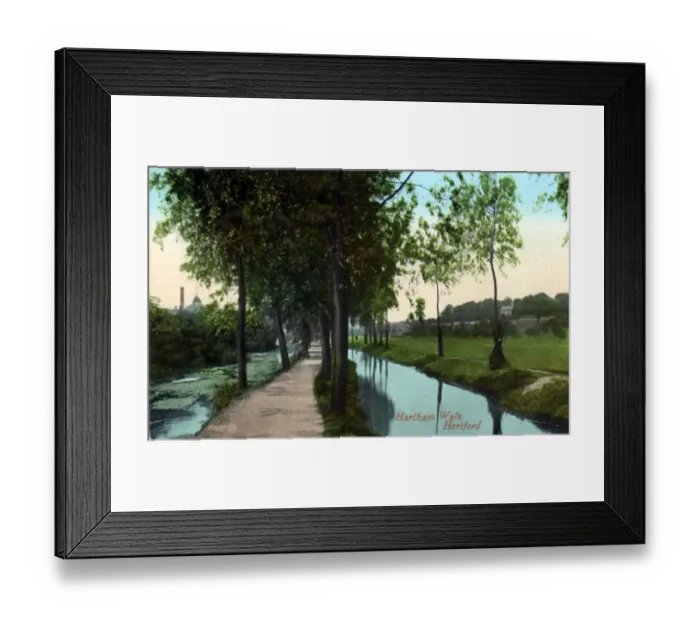 Framed Print : Hartham Walk, Hertford, Hertfordshire Framed Print : Hartham Walk, Hertford, Hertfordshire