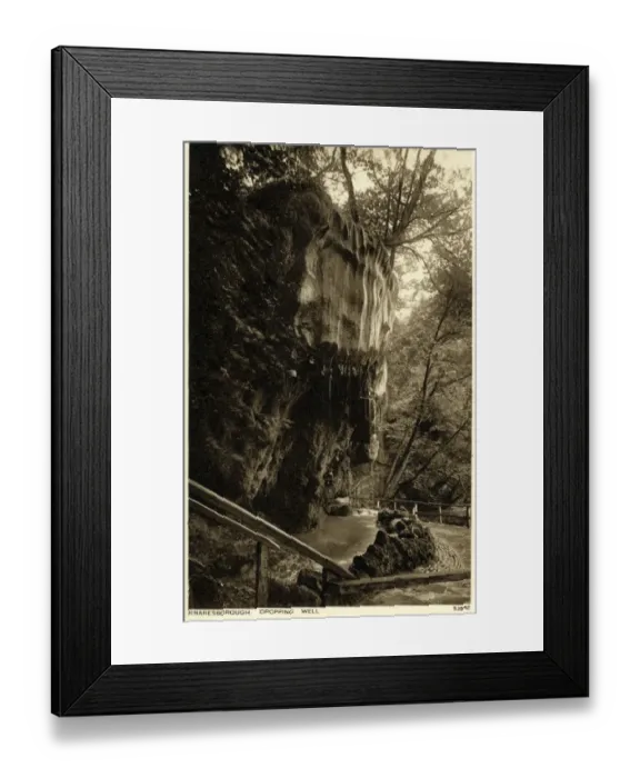 Framed Print : Dropping Well, Knaresborough, Yorkshire Framed Print : Dropping Well, Knaresborough, Yorkshire