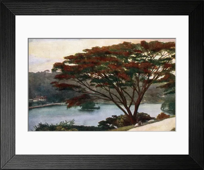 Framed Print : Temple of the Holy Tooth, Kandy Framed Print : Temple of the Holy Tooth, Kandy