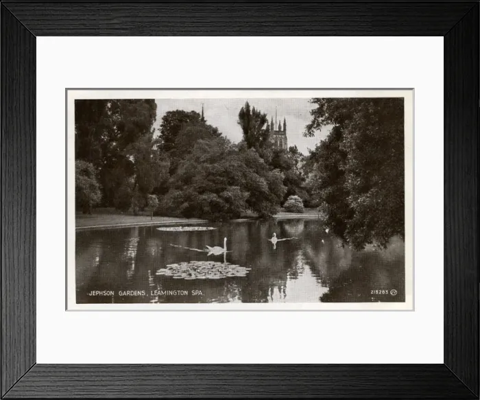 Framed Print : The Pond & Swans, Jephson Gardens, Warwickshire Framed Print : The Pond & Swans, Jephson Gardens, Warwickshire