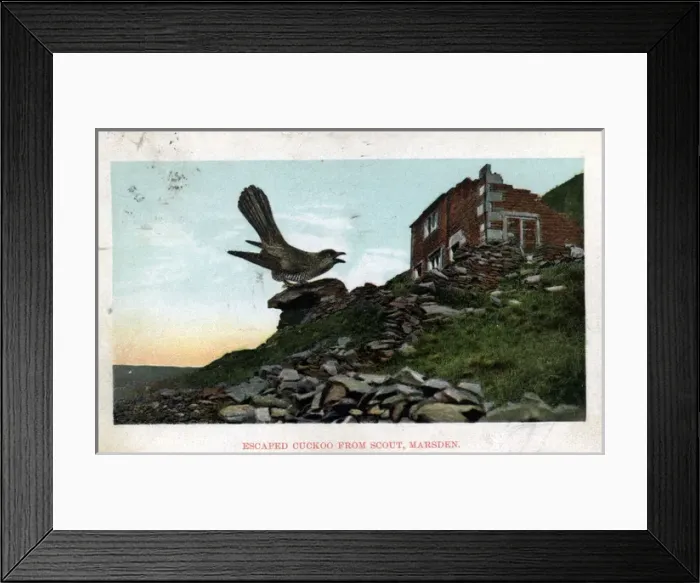 Framed Print : Scout, Marsden, Yorkshire Framed Print : Scout, Marsden, Yorkshire