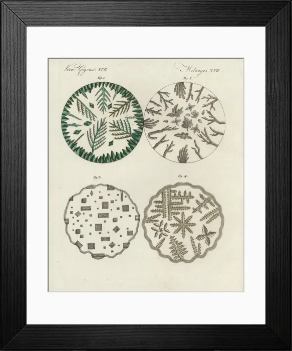 Framed Print : Crystals of verdigris, boric acid, common salt Framed Print : Crystals of verdigris, boric acid, common salt