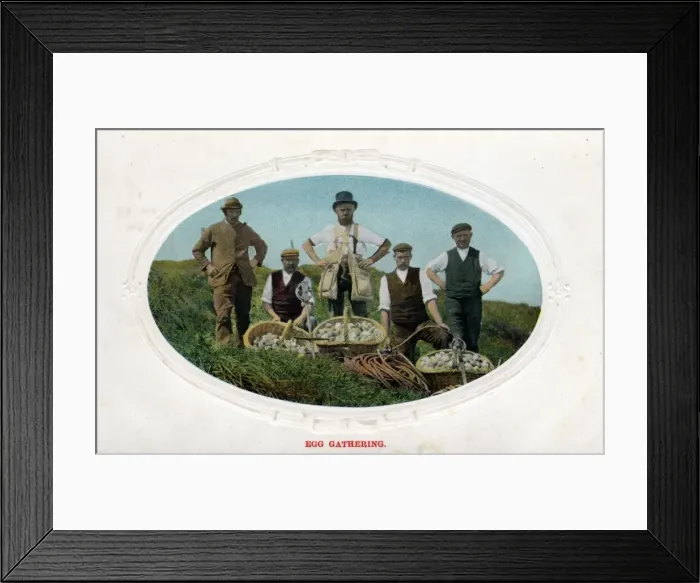 Framed Print : The Climmers - Sea Bird Egg Gathering, Flamborough, Yorkshir Framed Print : The Climmers - Sea Bird Egg Gathering, Flamborough, Yorkshir