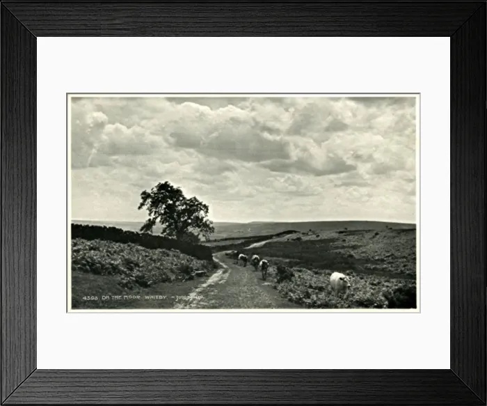 Framed Print : The Moors, Whitby, Yorkshire Framed Print : The Moors, Whitby, Yorkshire