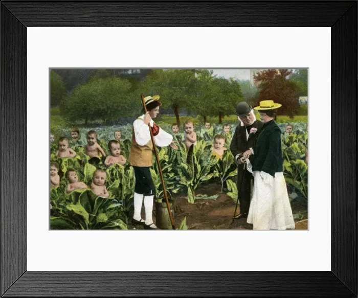 Framed Print : An Alternative Nursery Framed Print : An Alternative Nursery