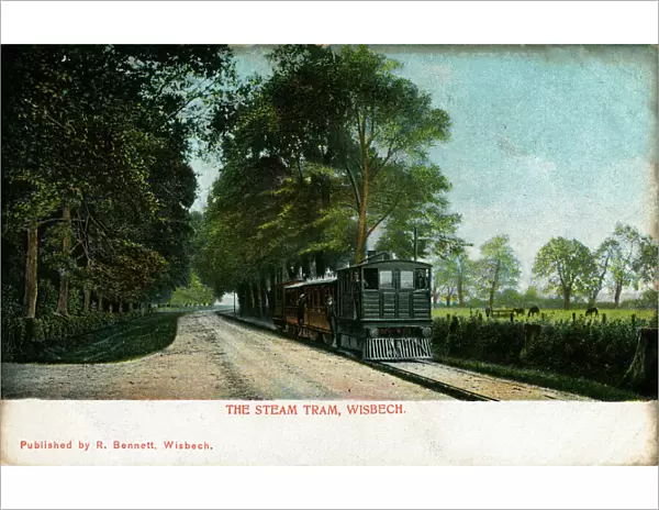 Steam Tram and Carriages, Wisbech, Cambridgeshire