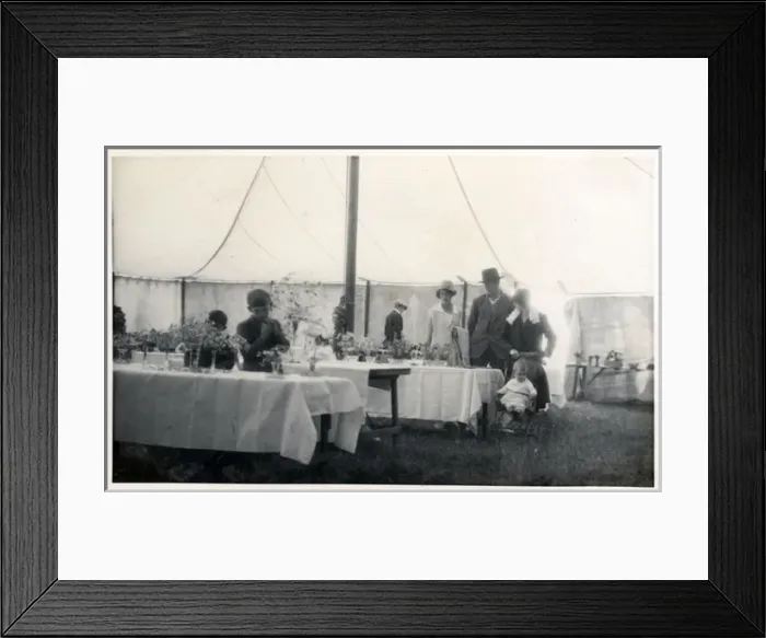 Framed Print : Flower Show, Ringwood, Hampshire Framed Print : Flower Show, Ringwood, Hampshire