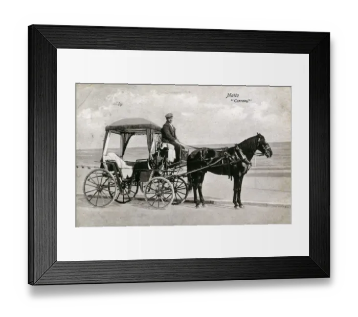 Framed Print : Native Horse & Carriage Framed Print : Native Horse & Carriage