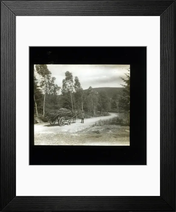 Framed Print : Country Road, Thursley, Surrey Framed Print : Country Road, Thursley, Surrey