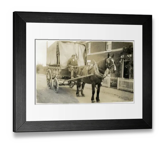 Framed Print : Horse & Delivery Cart Framed Print : Horse & Delivery Cart