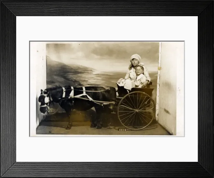 Framed Print : Childrens Horse & Trap Framed Print : Childrens Horse & Trap