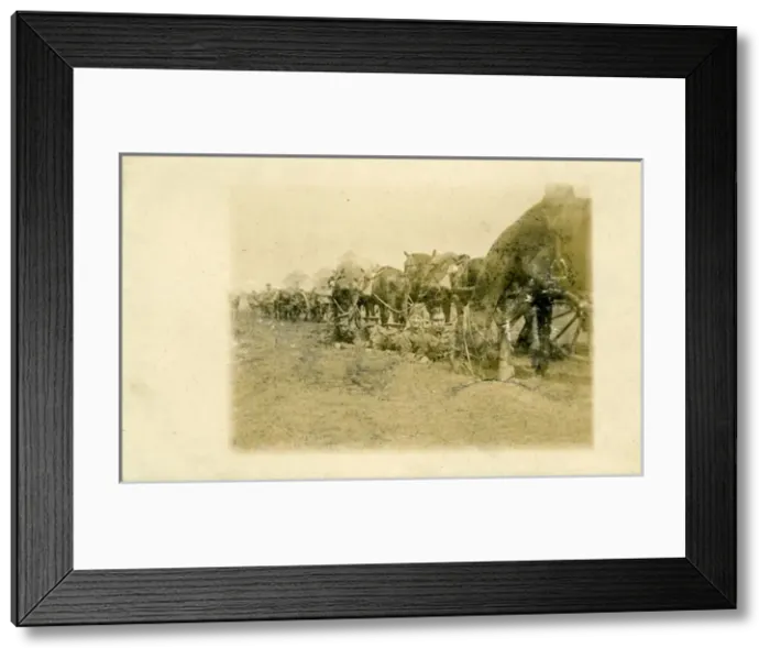 Framed Print : WW1 Gunners in Trench & Horses Framed Print : WW1 Gunners in Trench & Horses