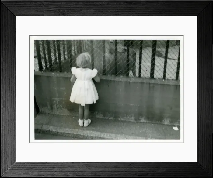 Framed Print : The Zoo, Southampton, Hampshire Framed Print : The Zoo, Southampton, Hampshire