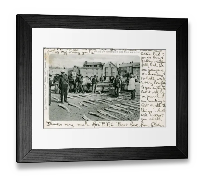 Framed Print : Conger Eels for sale on a beach, Unknown location Framed Print : Conger Eels for sale on a beach, Unknown location