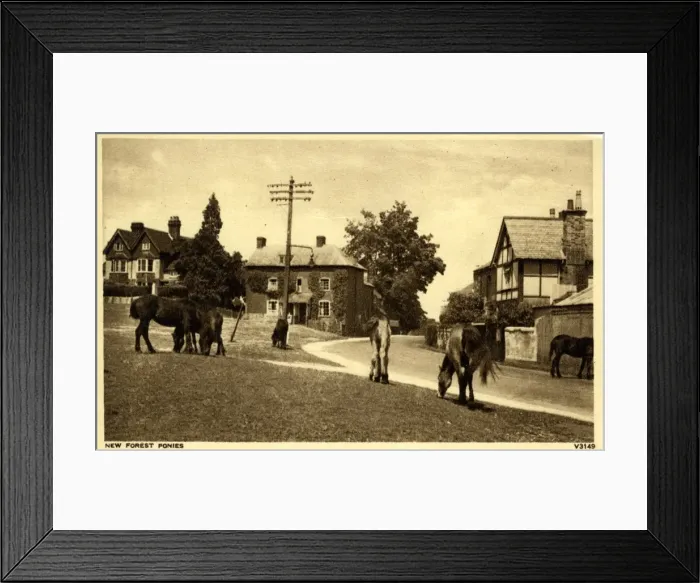 Framed Print : The Village, Lyndhurst, Hampshire Framed Print : The Village, Lyndhurst, Hampshire