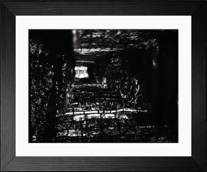 Framed Print : A Pergola, Hullbridge, Essex Framed Print : A Pergola, Hullbridge, Essex