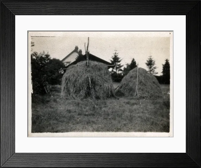 Framed Print : Haystacks, Knockholt, Kent Framed Print : Haystacks, Knockholt, Kent