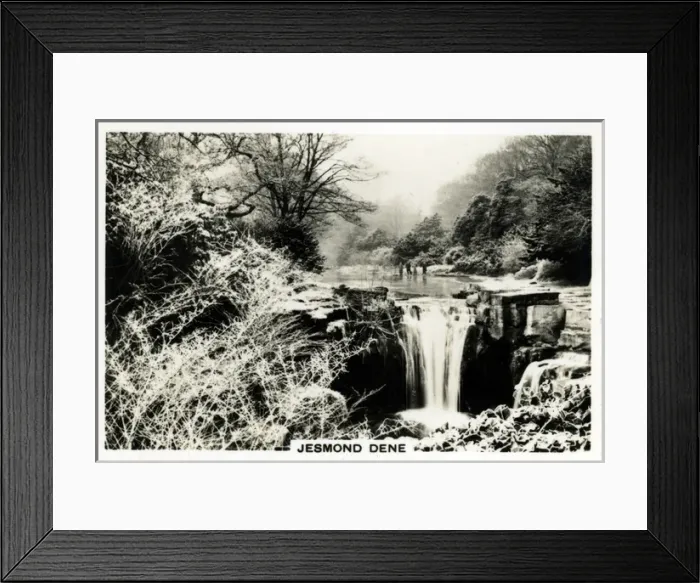 Framed Print : Jesmond Dene, Jesmond, Northumberland Framed Print : Jesmond Dene, Jesmond, Northumberland